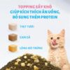 Thức ăn Mèo Mr Vet T2 - 1kg - Hình ảnh 4