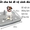 Khay vệ sinh Pet Q 52*42cm - Hình ảnh 2