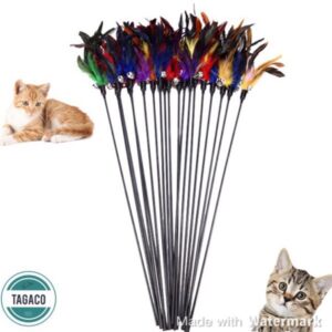 Que trêu mèo lông vũ màu sắc 60cm