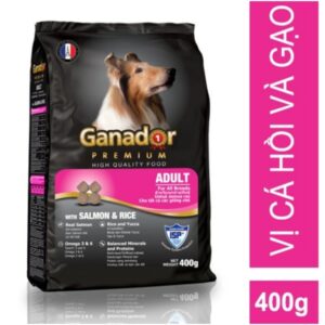 Ganador chó lớn vị cá hồi 400g