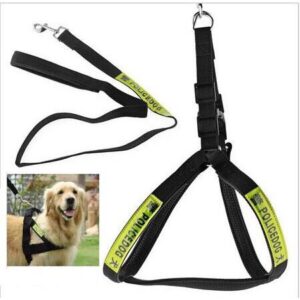 Dây dắt yếm Police 2,5cm