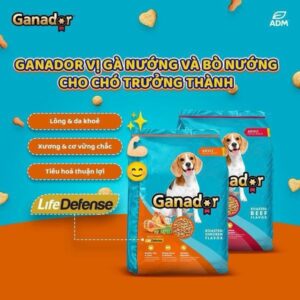 Ganador Chó Lớn Vị Gà 3kg