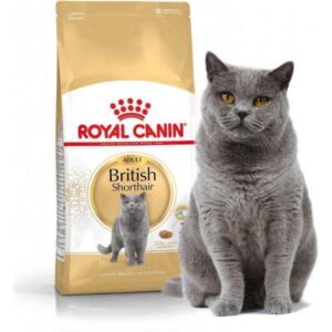 Royal Canin-British Shorthair Adult 2kg