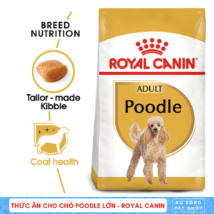 Royal Canin - Poodle Adult