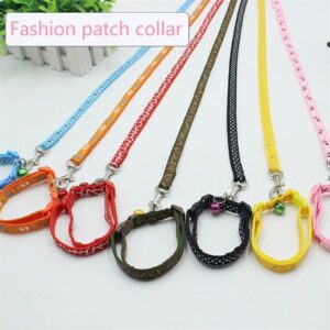 Dây dắt vòng cổ