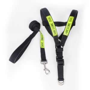 Dây dắt đai yếm Police ZC1365 2.0cm